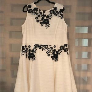 Taylor fit and flare cream embroidered dress NWT